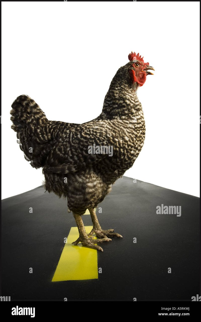 Descubre el Juego de Azar más Emocionante en la Carretera del Pollo en España, chicken road