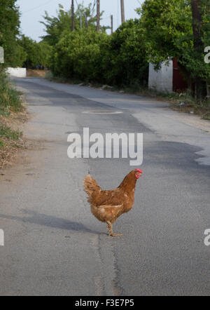 Juego chicken road in Spain